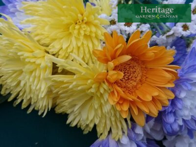 Heritage Garden Canvas promo