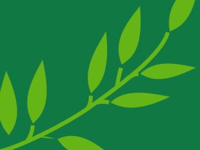 HGC site icon